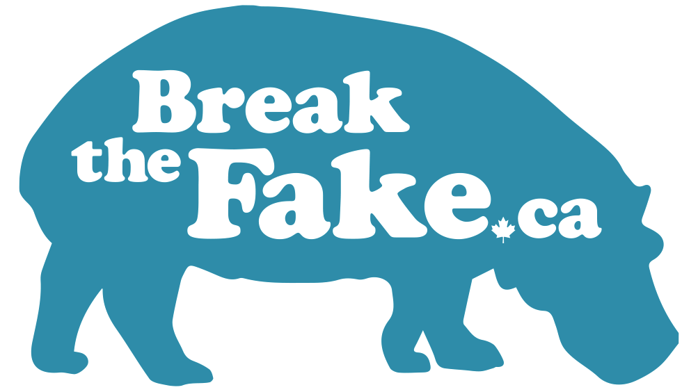 Break the Fake