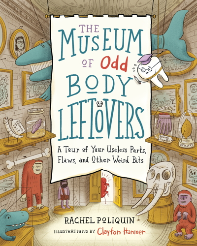 Museum of Odd Body Leftovers