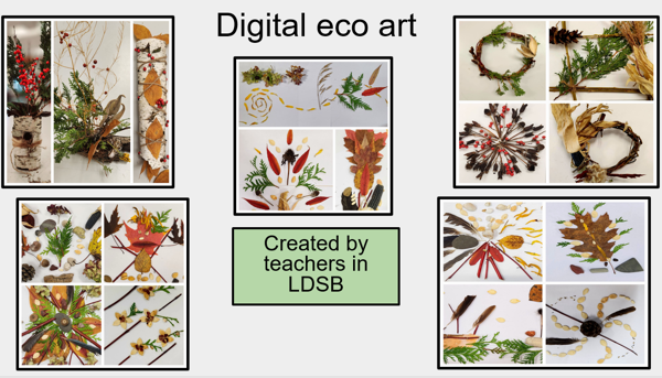 Digital Eco Art